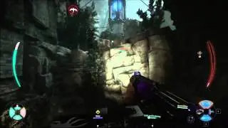Evolve - Maggie Blitz