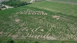 FarmerJ's World Record Corn Maze 2022