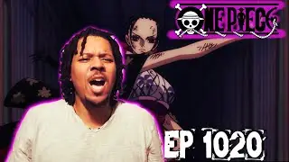LETS GO, ROBIN CHAN! | One Piece Reaction | Episode 1020