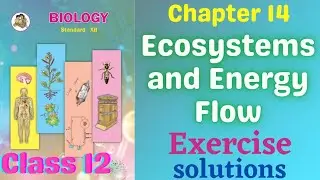 Ecosystems and Energy Flow class 12 biology chapter 14 Exercise solutions