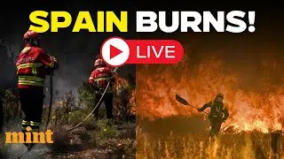 Spain Wildfire LIVE: Heatwave Sparks Wildfires, Thousands Flee Homes In Castile & Leon | Spain Burns