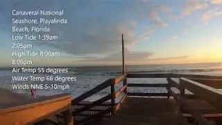One Fish Bluefish FECSF Playalinda Fish Report