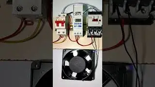 24 Hour Digital Timer Connection with Dol Starter! Digital Timer Connection! Street Light Timer