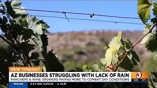 Arizona businesses, farms struggling with lack of rainfall