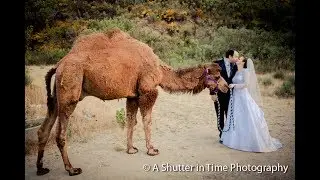 Los Angeles Wedding Photographers | A Shutter in Time Photography