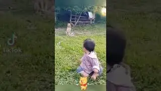 kid scared by dog barking