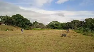 Maintenance of school grounds.