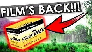 GOOD NEWS! Kodak T-Max P3200 is BACK!! | Decaf News