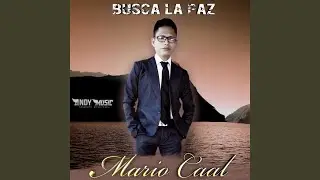 Busca la Paz