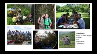14 Years of Post Fire Recovery in Hawaiian Mesic Forest