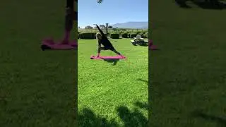 Vineyard Yoga & Wine Tasting