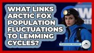 What Links Arctic Fox Population Fluctuations To Lemming Cycles? - Polar Regions Uncovered