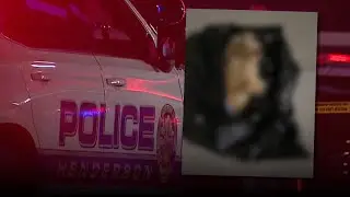Henderson Police Investigate Dog Dumped in Trash Can in Inspirada Neighborhood