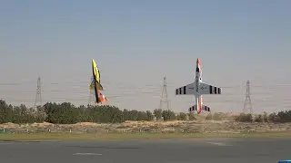 Formation flight of Pilot RC Matrix 2.8m and Skywing Falcon 2.8m