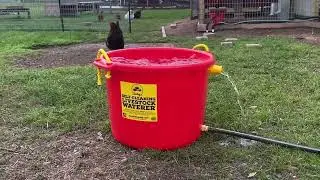 Cowboy's Livestock Waterer