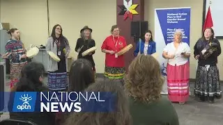 Plan going ahead to implement action plan to end gender-based violence | APTN News