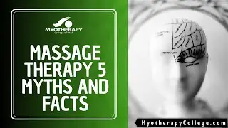 Massage Therapy 5 Myths and Facts