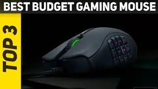 3 Best Budget Gaming Mouse 2022?