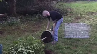 Outdoor grow 2017