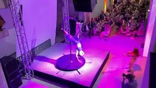 live violin & acrobatik