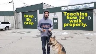 Tutorial - Step By Step To A Better Walk