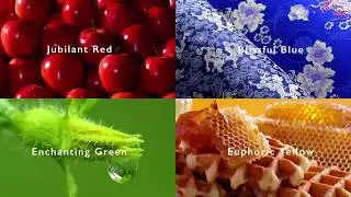 Long Lasting Reliability and Performance | BenQ BlueCore Laser