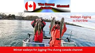 Winter walleye for jigging-Thu duong canada channel