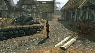 Skyrim - Belethor slides around in Whiterun
