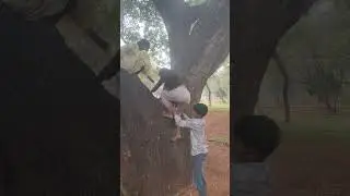 Tree Climbing Game at Indira Park Hyderabad, on January 1st 2026