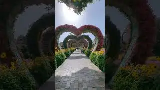 Dubai Miracle Garden: Where Botanical Beauty Blooms!