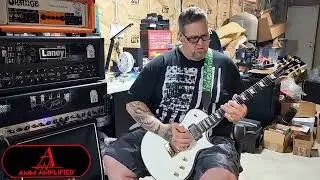 Peavey 6505 Modded By AMM Amplified