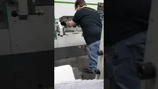 Platen cleaner.
