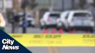Committee recommends provincial police force in B.C.
