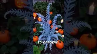 Why Ghost Ferns Make Professional Gardens Magical