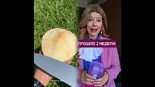 Проучила наглую коллегу 🤭 #психология #отношения #личныеграницы #наглость #манипуляции