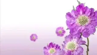 翻唱 蔡琴 你的眼神-- The expression in your eyes