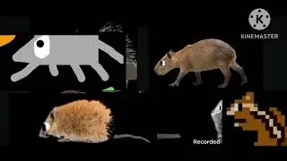 Wild rodents 2 ending
