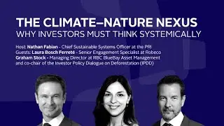 The Climate - Nature Nexus: Why Investors Must Think Systematically
