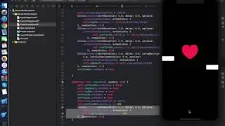 LogIn Screen Animation Swift 5 Xcode 11.