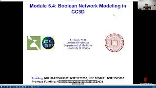 CC3D WS 5.4: MaBoSS Boolean Networks Models in CC3D [T.J. Sego] August 2, 2024