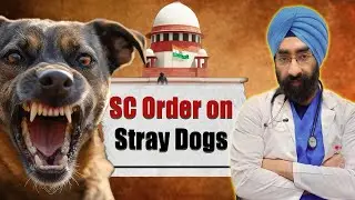 India's Rabies Menace: What The Supreme Court's Stray Dog Order Means | Dr. Paramjeet, Cardiologist