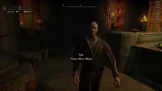 Skyrim Revoiced Preview