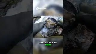 Ускоренный метод промывки золота, экономящий время.