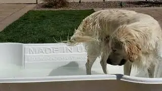 Ava enjoying the Bone Pool