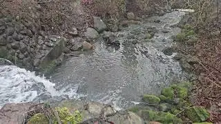 4K Cascade Stillscape | Pure Water Ambience