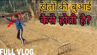 खेतों की बुआई कैसे होती है⁉️#viral #viralvideo #kheti 