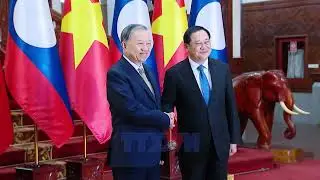 Party chief briefs Laos on outcomes of 14th National Congress