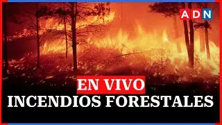 🔴 Incendios forestales en Chile EN VIVO: fallecidos y últimas noticias de Ñuble y Biobío