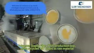 Polyester Staple Fiber (PSF) Production Line-Using Recycled PET Flakes as Raw Material