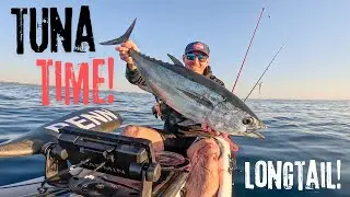 From Cast to CHAOS! Offshore Kayak Fishing! Kingscliff NSW!